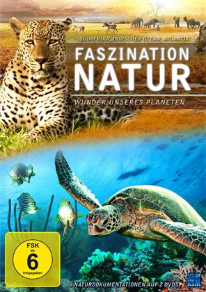 Faszination Natur - Wunder unseres Planeten (2 DVDs)