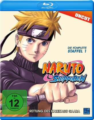 Naruto Shippuden - Staffel 1 (Uncut)