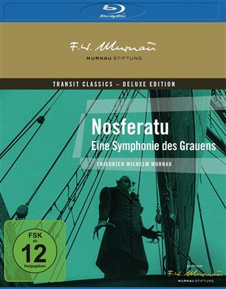 Nosferatu - Eine Symphonie des Grauens (1922)