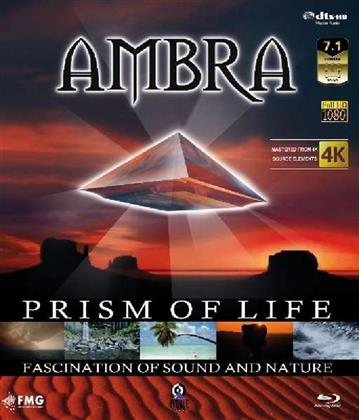 Ambra - Prism of Life