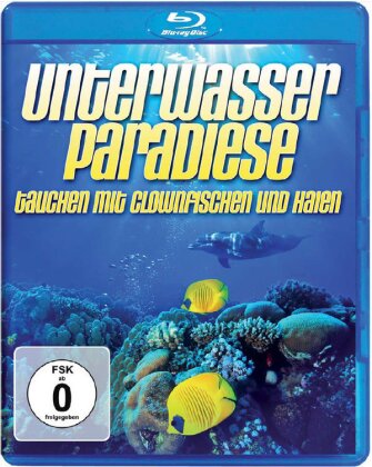 Unterwasser Paradiese - Tauchen mit Clownfisch und Haien