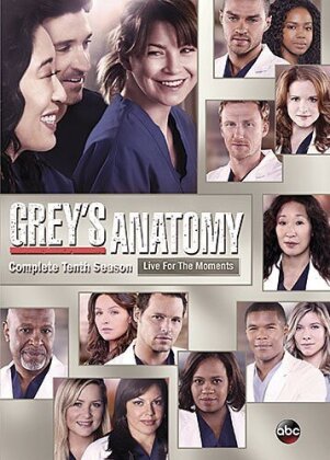 Grey's Anatomy - Season 10 (6 DVDs)