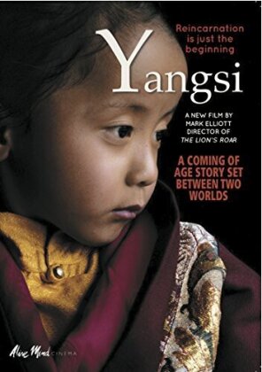 Yangsi - Reincarnation is just the Beginning
