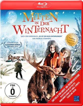 Mitten in der Winternacht (2013)