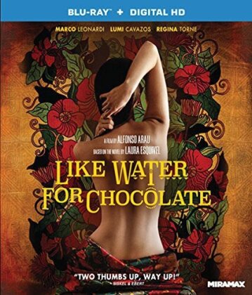 Like Water for Chocolate - Como agua para chocolate (1992)