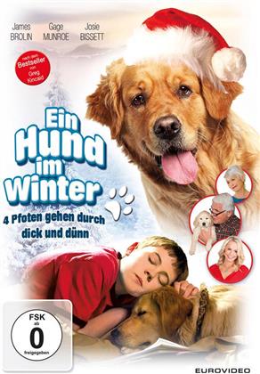 Ein Hund im Winter - Christmas with Tucker