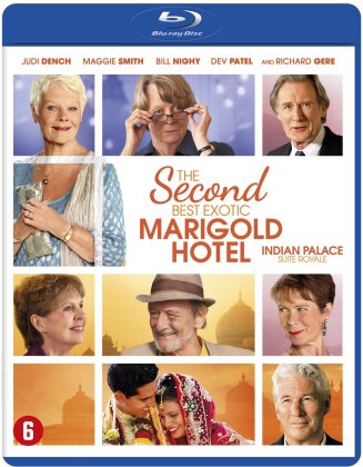 The Second Best Exotic Marigold Hotel - Indian Palace - Suite Royale (2015)