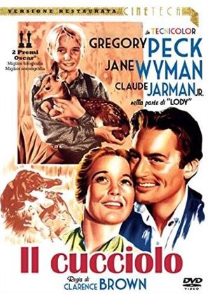 Il cucciolo - The Yearling (Collana Cineteca) (1946)
