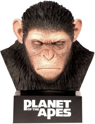 Planet der Affen - Complete Box (Caeser's Head Limited Edition - 8 Discs)