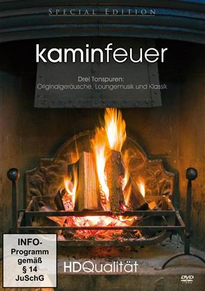 Kaminfeuer (HD Qualität - Special Edition)