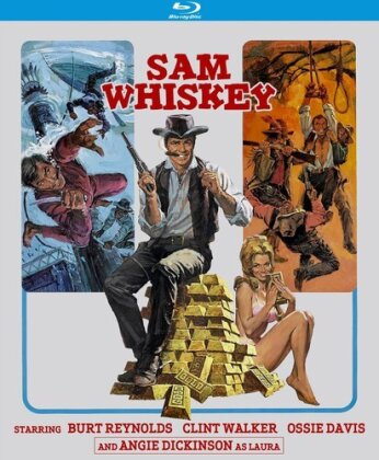 Sam Whiskey (1969)