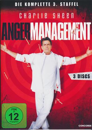 Anger Management - Staffel 3 (3 DVDs)