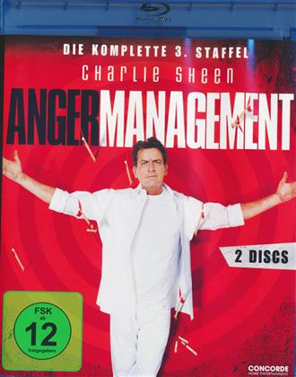 Anger Management - Staffel 3 (2 Blu-rays)