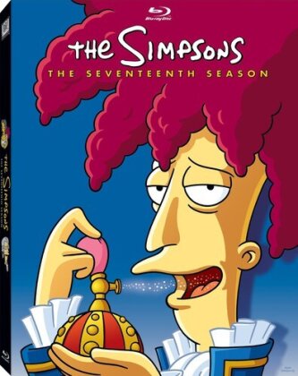 The Simpsons - Season 17 (4 DVDs)