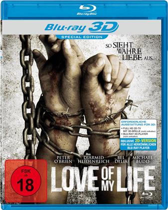 Love of my Life (2013) (Edizione Speciale)