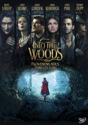 Into the Woods - Promenons-nous dans les bois (2014)