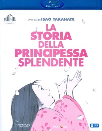 La Storia Della Principessa Splendente (2013)