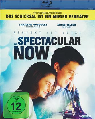 The Spectacular Now - Perfekt ist Jetzt (2013)