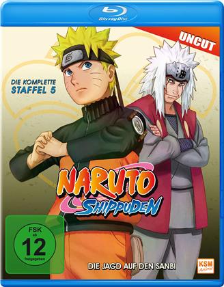 Naruto Shippuden - Staffel 5 (Uncut)