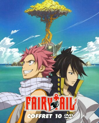 Fairy Tail - Saison 3 - Vol. 11-15 (Coffret Collector )