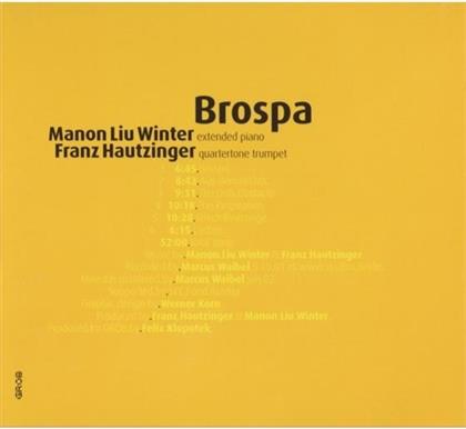 Hauntzinger & Winter - Brospa