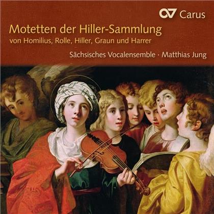 Sächsisches Vocalensemble, Gottfried August Homilius (1714-1785), Gottlob Harrer (1703-1755), Christoph Ludwig Fehre (1718-1772), Johann Heinrich Rolle (1716-1785), … - Motetten Der Hiller-Sammlung