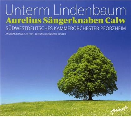 Aurelius Sängerknaben Calw - Unterm Lindenbaum