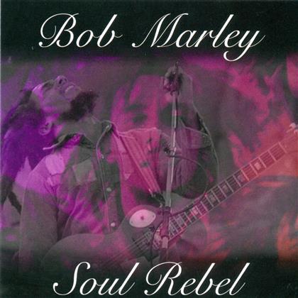 Bob Marley - Soul Rebel (2015 Version)