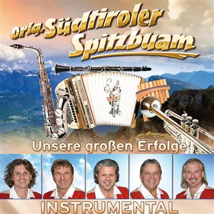 Südtiroler Spitzbuam - Unsere Großen Erfolge - Instrumental