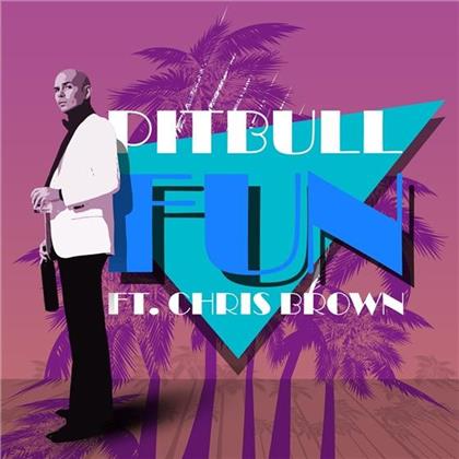 Pitbull Feat. Chris Brown feat. Chris Brown - Fun