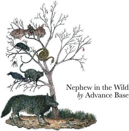 Advance Base - Nephew In The Wild