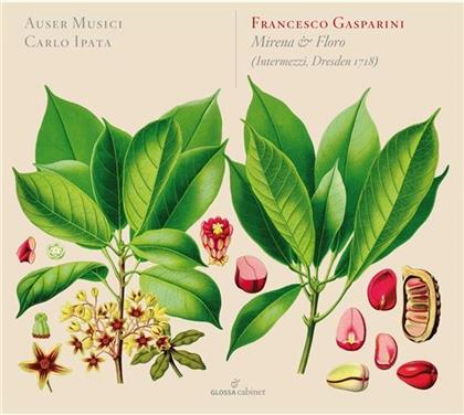 Auser Musici, Francesco Gasparini & Carlo Ipata - Mirena E Floro/Dori E Daliso