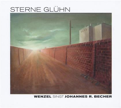 Hans-Eckardt Wenzel - Sterne Gluehn