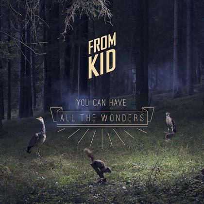 From Kid - You Can Have All The Wonders (2 LPs)