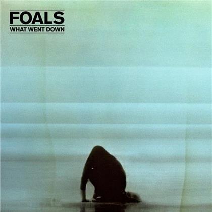 Foals - What Went Down (LP)