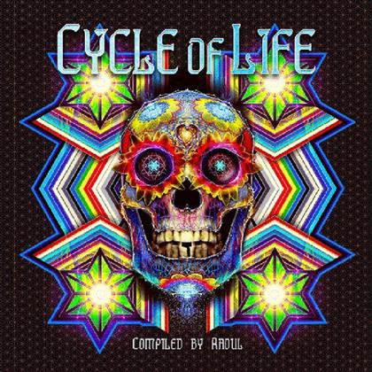 Cycle Of Life