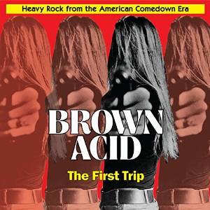 Brown Acid - First Trip (LP)