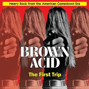 Brown Acid - First Trip (Colored, LP)