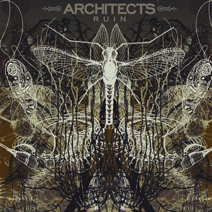 Architects (Metalcore) - Ruin (LP + CD)