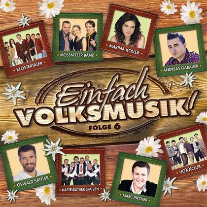 Einfach Volksmusik - Vol. 6