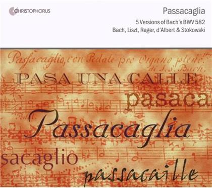 Johann Sebastian Bach (1685-1750) - Passacaglia Bwv 582 - 5 Versionen (Bach, Liszt, Reger, d'Albert & Stokowski