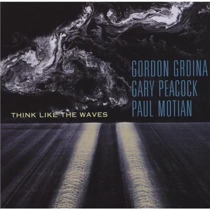Grdina, Peacock & Motian - Think Like The Waves (Hybrid SACD)