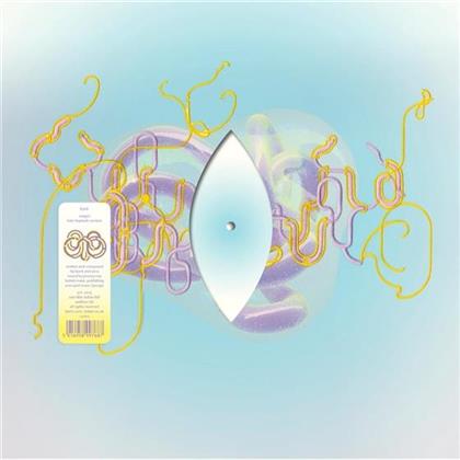 Björk - Notget (Lotic Kepetsave Version) (12" Maxi)