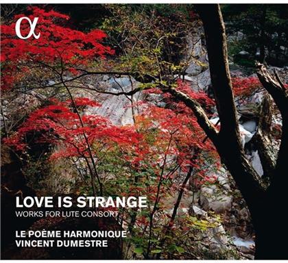 Vincent Dumestre, Eric Bellocq & Pierre Hantai - Love Is Strange