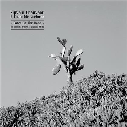 Sylvain Chauveau - Down To The Bone (LP)