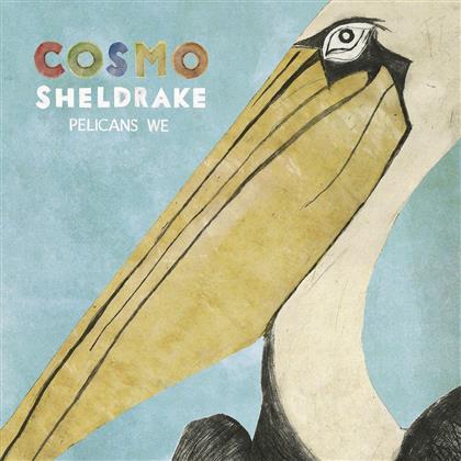 Sheldrake Cosmo - Pelicans We