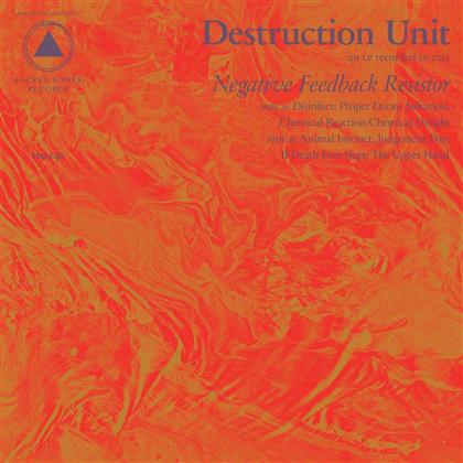 Destruction Unit - Negative Feedback Resisto (LP)