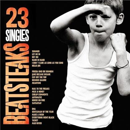 Beatsteaks - 23 Singles (LP)
