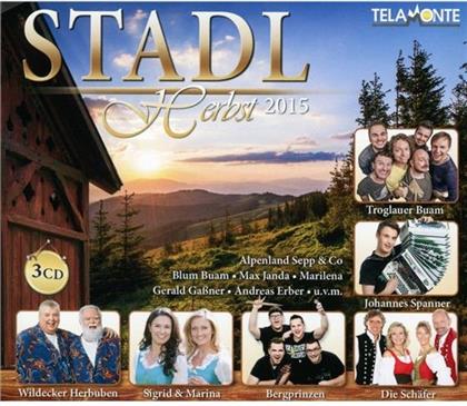 Stadl Herbst 2015 (3 CDs)
