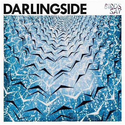 Darlingside - Birds Say (LP + Digital Copy)